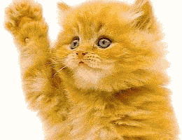 Hommage @ mes chats ! 